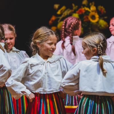 X Tartu Folk: Kogukonnapidu Luunjas 2025; Foto: Helin Pihlap 